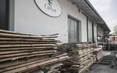 Nuovo sito web Segherie Carlon